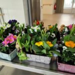 Frühlingskörbchen8